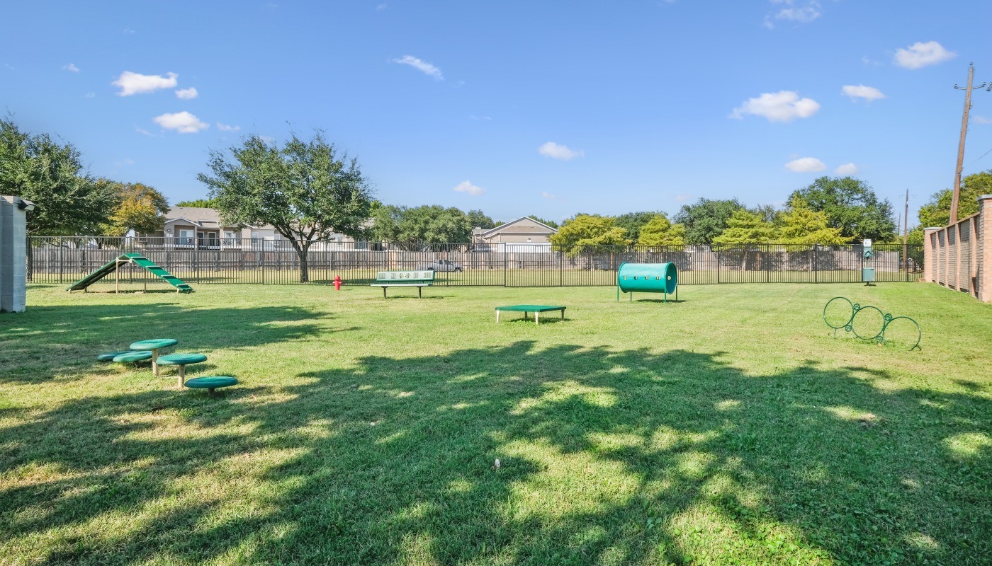 dog park